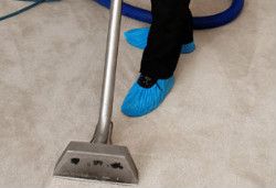 Carpet Cleaning Finchley