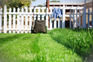 grass-cutting-services-finchley